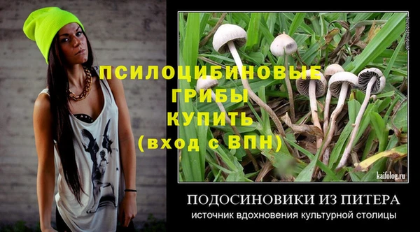 ECSTASY Баксан