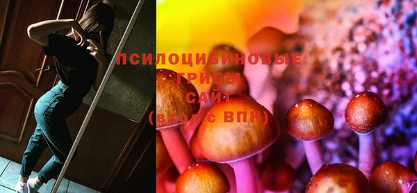 ECSTASY Баксан
